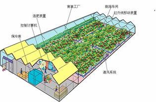 計算機控制的簡易植物工廠模型 無公害蔬菜生產新路徑