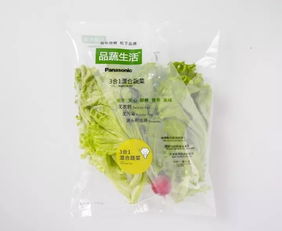 蘇州松下新植物工廠蔬菜正式出貨，科技農(nóng)業(yè)開(kāi)啟綠色新篇章